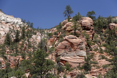 Kreuzschichtung im Sandstein der Navajo Formation, Zion Nationalpark, Utah, USA