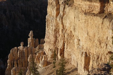 Hoodoos erstrahlen im Abendlicht, Bryce Canyon Nationalpark, Utah, USA