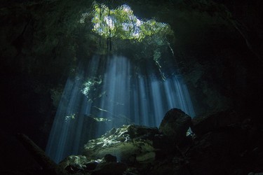 Lichteinfall von der Höhlendecke, Cenote Tajma Ha, Playa del Carmen, Quintana Roo, Mexico